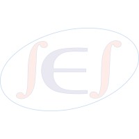 SOFT ELECTRONIC SOLUTIONS logo - Similar company to Wealth Zone Technologies
