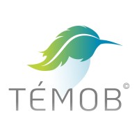 TÉMOB© logo - Similar company to 3D Energies