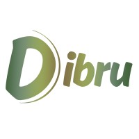 Dibru Enterprises Overseas logo - Similar company to Studyhub