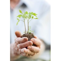Grantlinkx