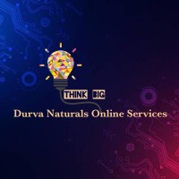 Durva Naturals online Services logo - Similar company to Durva Software