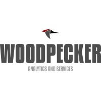 Woodpecker Analytics and Services logo - Similar company to Wood Pecker Data Analysis