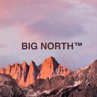 BIG NORTH Agency logo - Similar company to Genuine Reach
