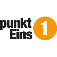punktEins Organisations GmbH logo - Similar company to Solidsense Gmbh