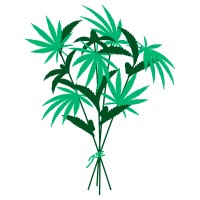 The Green Bouquet Cannabis Inc. logo - Similar company to Cannabis Jacks