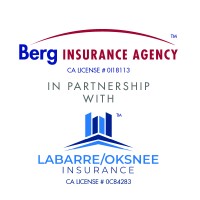 Berg Insurance Agency logo - Similar company to Ryan Specialty National Programs