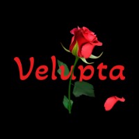 Velupta Produções logo - Similar company to Lohan Projetos