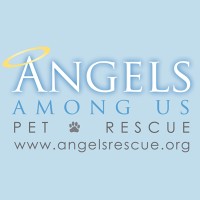 Angels Among Us Pet Rescue logo - Similar company to Hotel Interactive, Inc.