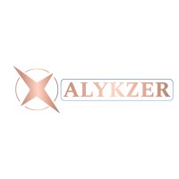 Alykzer logo - Similar company to Mr Diggi Tech