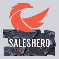 Sales Hero GmbH logo - Similar company to Geri Coaching & Consulting