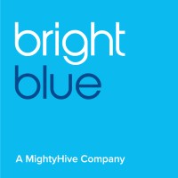 Brightblue Consulting logo - Similar company to Linea Analytics
