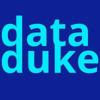 data duke logo - Similar company to Style Space Inc