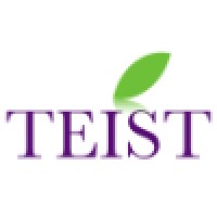 Teist Soluciones S.L. logo - Similar company to Calaf Nuances
