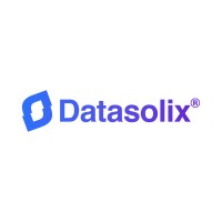 Datasolix logo - Similar company to Sae.Pce