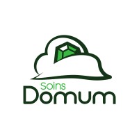 Domum logo - Similar company to Femmes Expertes