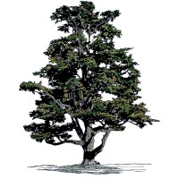 Redbud New Energy logo - Similar company to Potomac Renewable Energy Llc