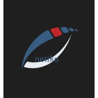 Netiko International logo - Similar company to Vvs Jewelry Store