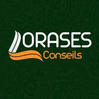 ORASES Conseils logo - Similar company to E-Consolidate
