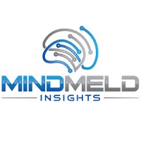 MindMeld Insights, LLC logo - Similar company to Lean Research