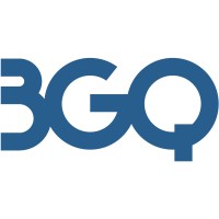 BGQ S.r.l. logo - Similar company to Dvmep