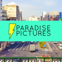 Paradise Pictures logo - Similar company to Share Look Application