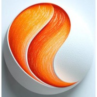 DIGI BIZ BOOKS HU logo - Similar company to Fm Software Technologies