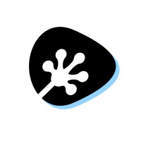 SNOWY LIZARD logo - Similar company to Visign
