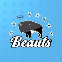 Buffalo Beauts logo - Similar company to Blc