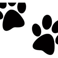 Posh Paws Studio logo - Similar company to Fluffpup India