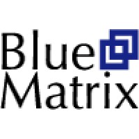 Blue Matrix - Chartered Certified Accountants logo - Similar company to Lynx Consulting Group, Inc