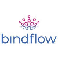 Bindflow logo - Similar company to Bindinntechs - Faas Financial As A Service