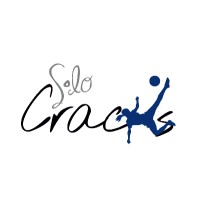 Solo Cracks logo - Similar company to Mintal