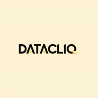 DataCliq logo - Similar company to Techntransit