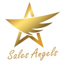Sales Angels logo - Similar company to Materiality Master