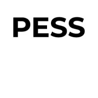 PESS - Private Equity Support Services logo - Similar company to 4Vco