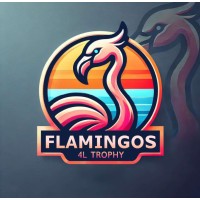 4L Trophy - Flamingos 4L logo - Similar company to Web Valley
