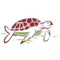 Green Turtle Gaming Technologies Pvt Ltd logo - Similar company to Redbasil