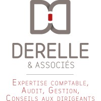 DERELLE & ASSOCIES logo - Similar company to Svelt Studio