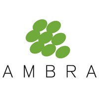 Ambra S.A. logo - Similar company to Tim S.A.