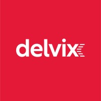 DELVIX logo - Similar company to Elasticrew