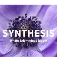 Synthesis Agency logo - Similar company to Synthesis Agency