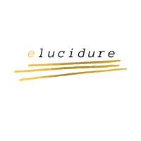 Elucidure Consulting, LLC logo - Similar company to Brc Consulting