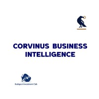Corvinus Business Intelligence logo - Similar company to Portfolion