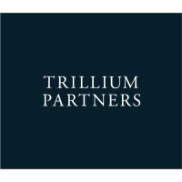 Trillium Partners Limited logo - Similar company to Verdier & Co. Corporate Advisory ¦ B Corp Certified