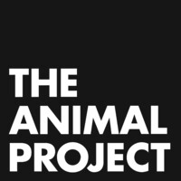 The Animal Project