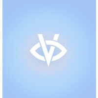 Visionnaire logo - Similar company to Teddy Smith