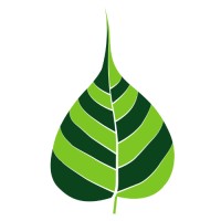 Kajonkietsuksa School logo - Similar company to Foxity