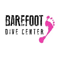 Barefoot Dive Center Cozumel logo - Similar company to Happy Bubbles Dive Center