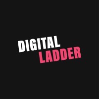 The Digital Ladder logo - Similar company to Virtually Assisting You