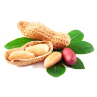 NDOCK logo - Similar company to Gulfport School District